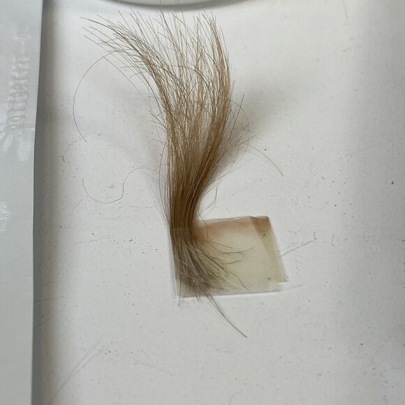 Clairol Gray Solution Nice'n Easy, 100% Coverage, #  8G Med. Golden Blonde (1)‎ - Picture 11 of 11